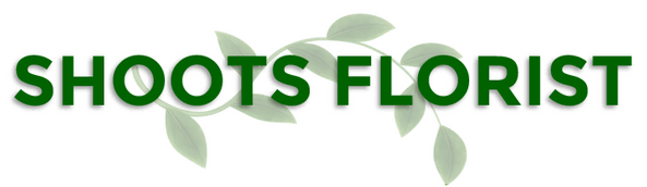 Shoots Florist logo